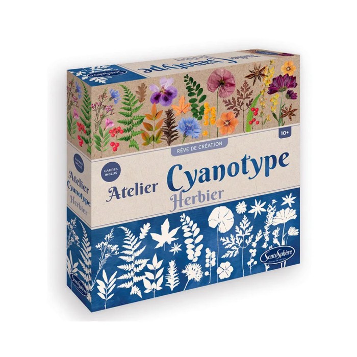 Cyanotypie Werkstatt: Herbarium