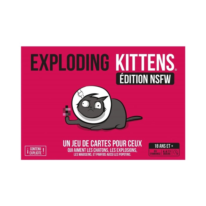 Exploding Kittens: NSFW Edition (Französische Version)