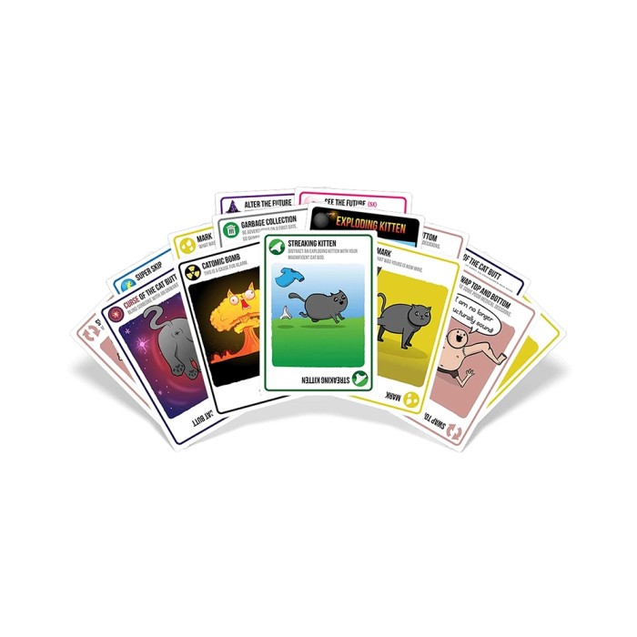 Exploding Kittens: Streaking Kittens Erweiterung (Französische Version)