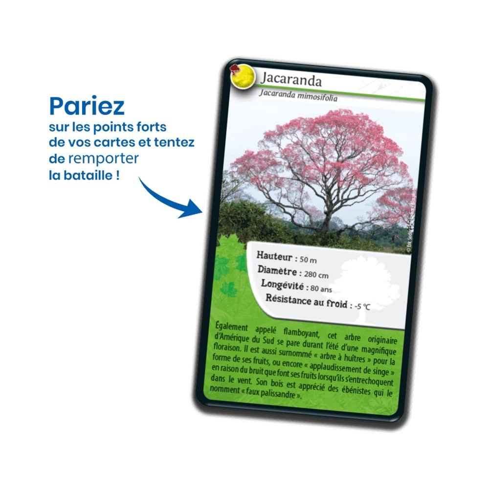 Nature Challenge: Bäume der Welt (Französische Version)