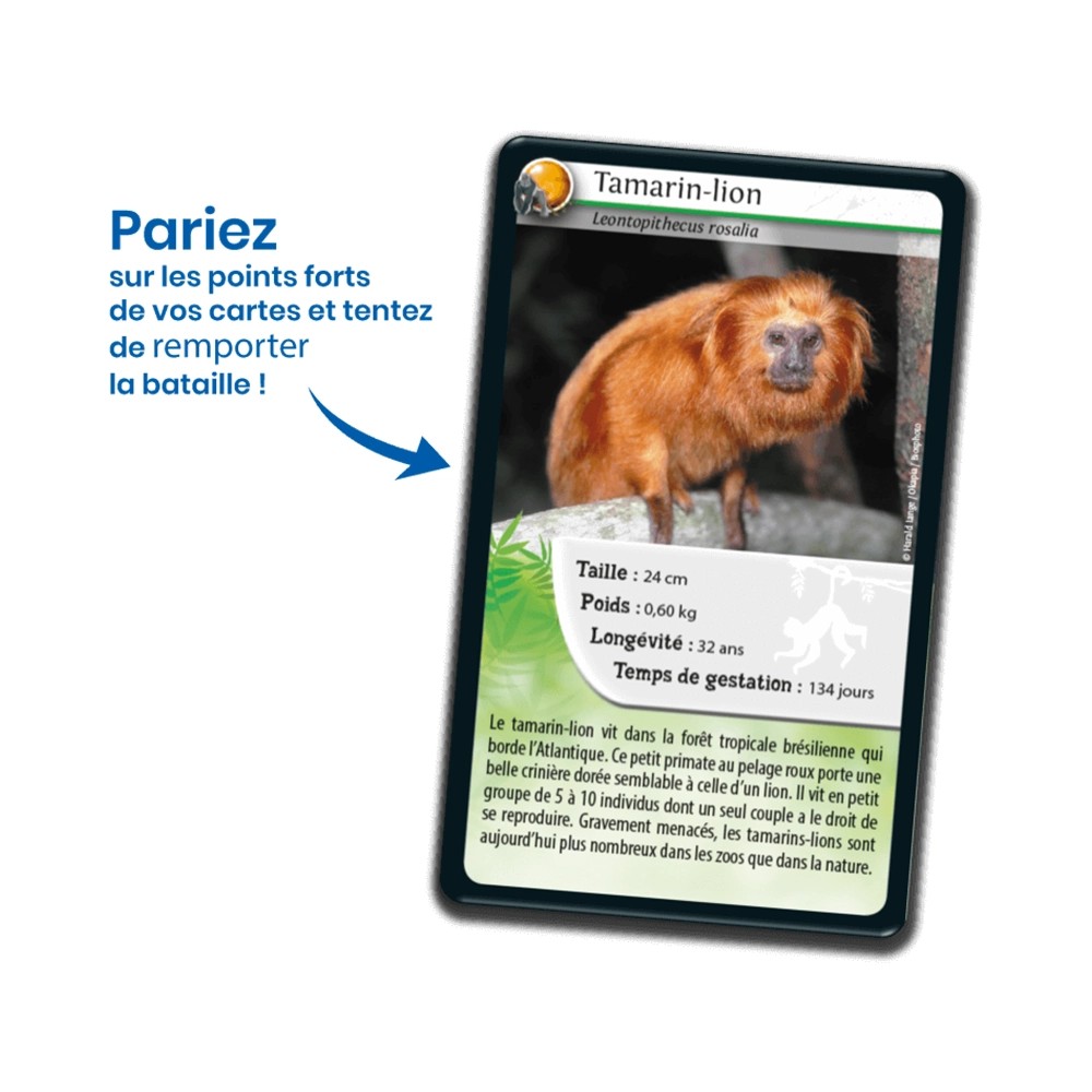 Nature Challenge: Affen & Primaten (Französische Version)