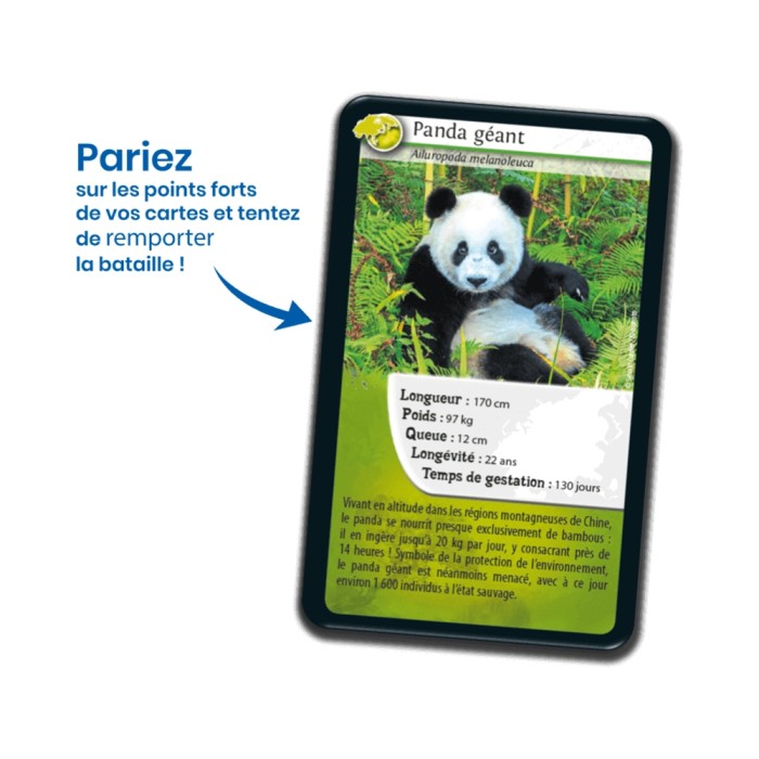 Nature Challenge: Asien (Französische Version)