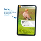 Nature Challenge: Greifvögel (Französische Version)