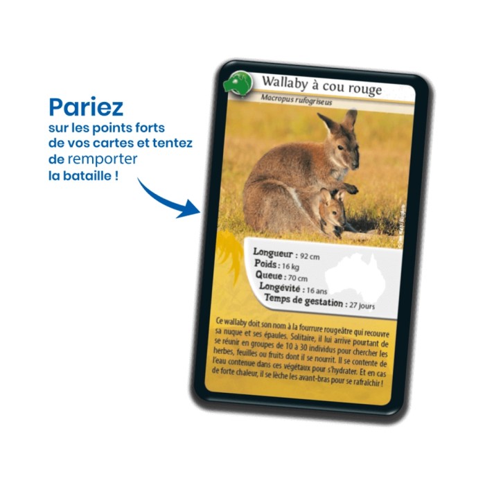 Nature Challenge: Ozeanien (Französische Version)