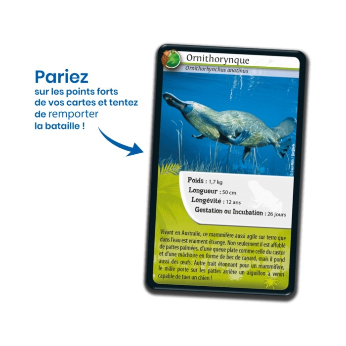 Nature Challenge: Außergewöhnliche Tiere (Französische Version)