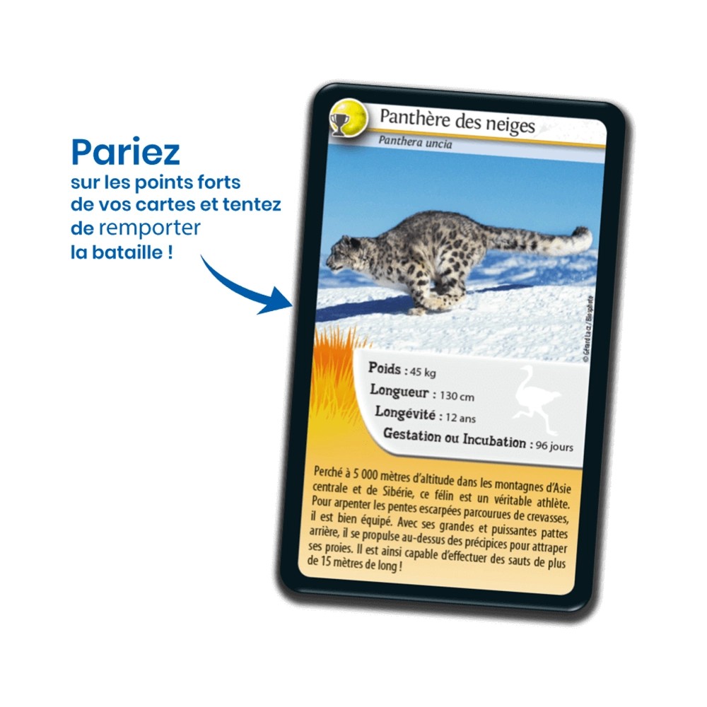 Nature Challenge: Tierrekorde (Französische Version)