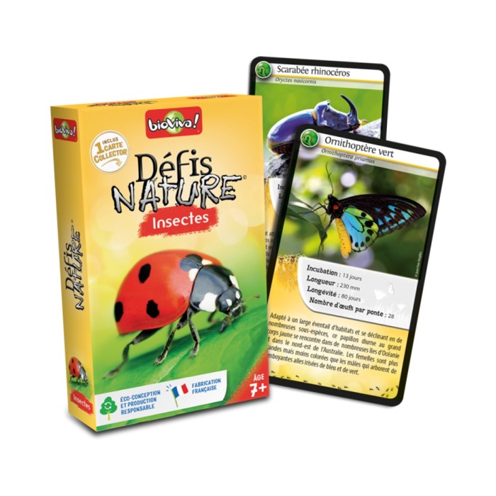 Nature Challenge: Insekten (Französische Version)