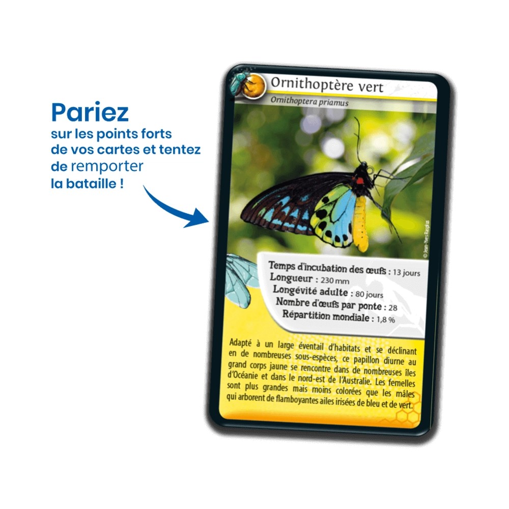 Nature Challenge: Insekten (Französische Version)