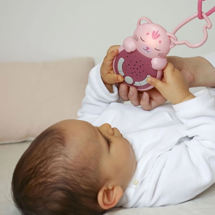 On the Go: Sweet Dreamz Kätzchen