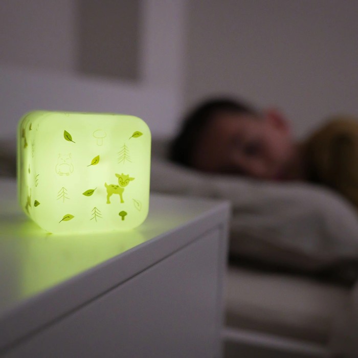 Cube B: Wald Aktivitätswürfel