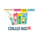 Conjudingo CE2 (Französische Version)