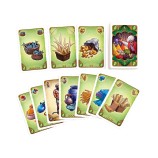Five Tribes (Französische Version)