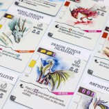 Wyrmspan: Visionen & Aussichten Erweiterung (Französische Version)