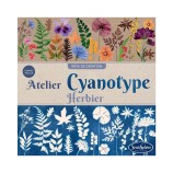 Cyanotypie Werkstatt: Herbarium