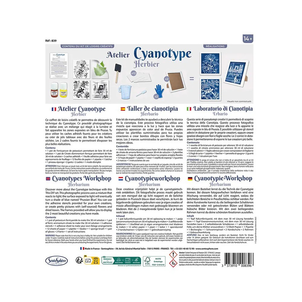 Cyanotypie Werkstatt: Herbarium