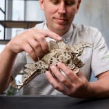 Stegosaurus 305 pcs Maquette Dinosaure