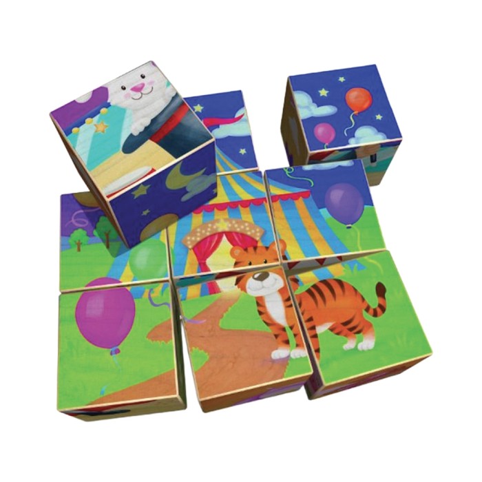 Puzzle cubes en bois 9 pièces sur le thème du cirque
