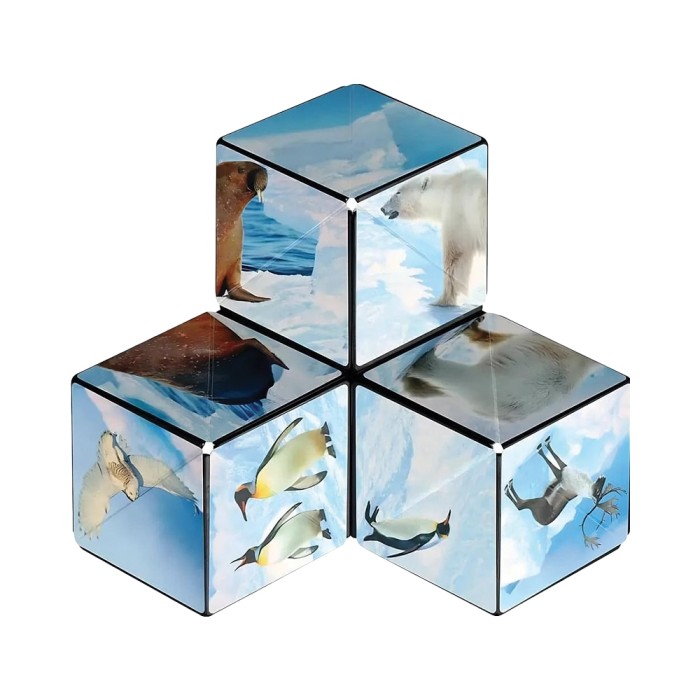 Cubo Magnetico Shashibo Arctic