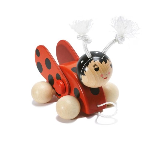 Coccinelle cecile avec ailes