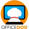 Office Dog