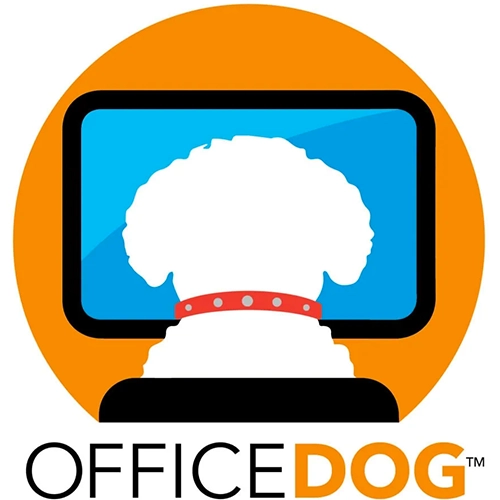 Office Dog